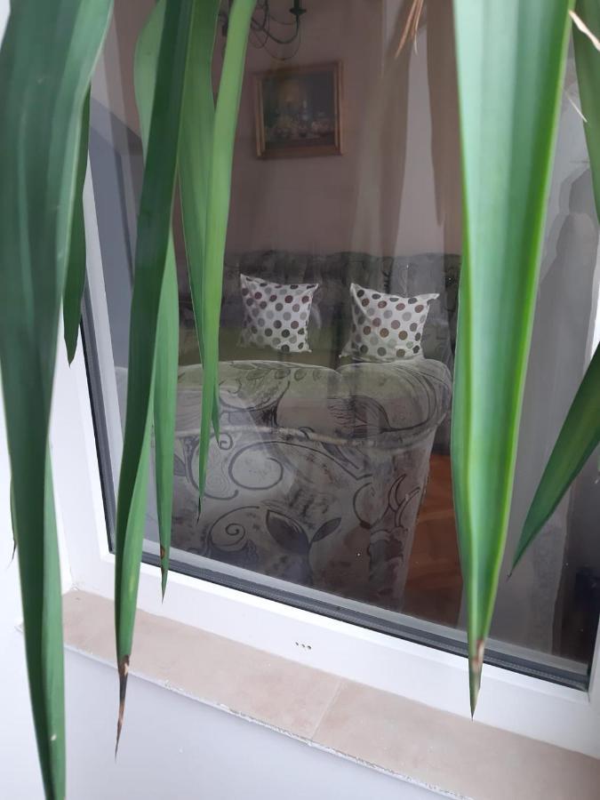 Pelican Proxy Apartment Орадя Экстерьер фото